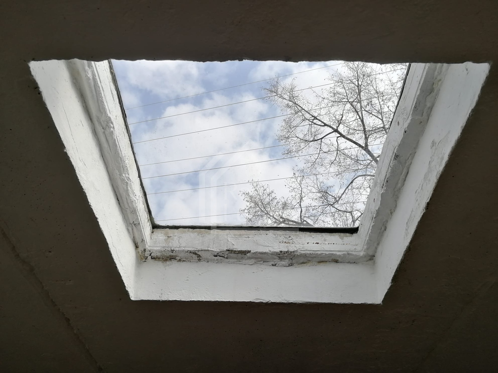 WhatsApp Image 2026-03-11 at 11.34.01 (1)