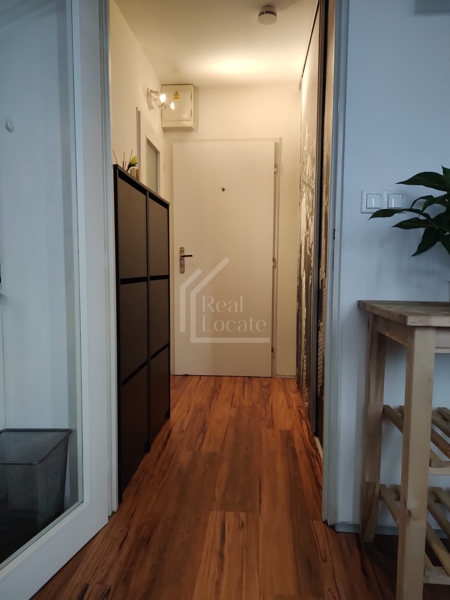 PHOTO-2023-02-21-12-09-22 4