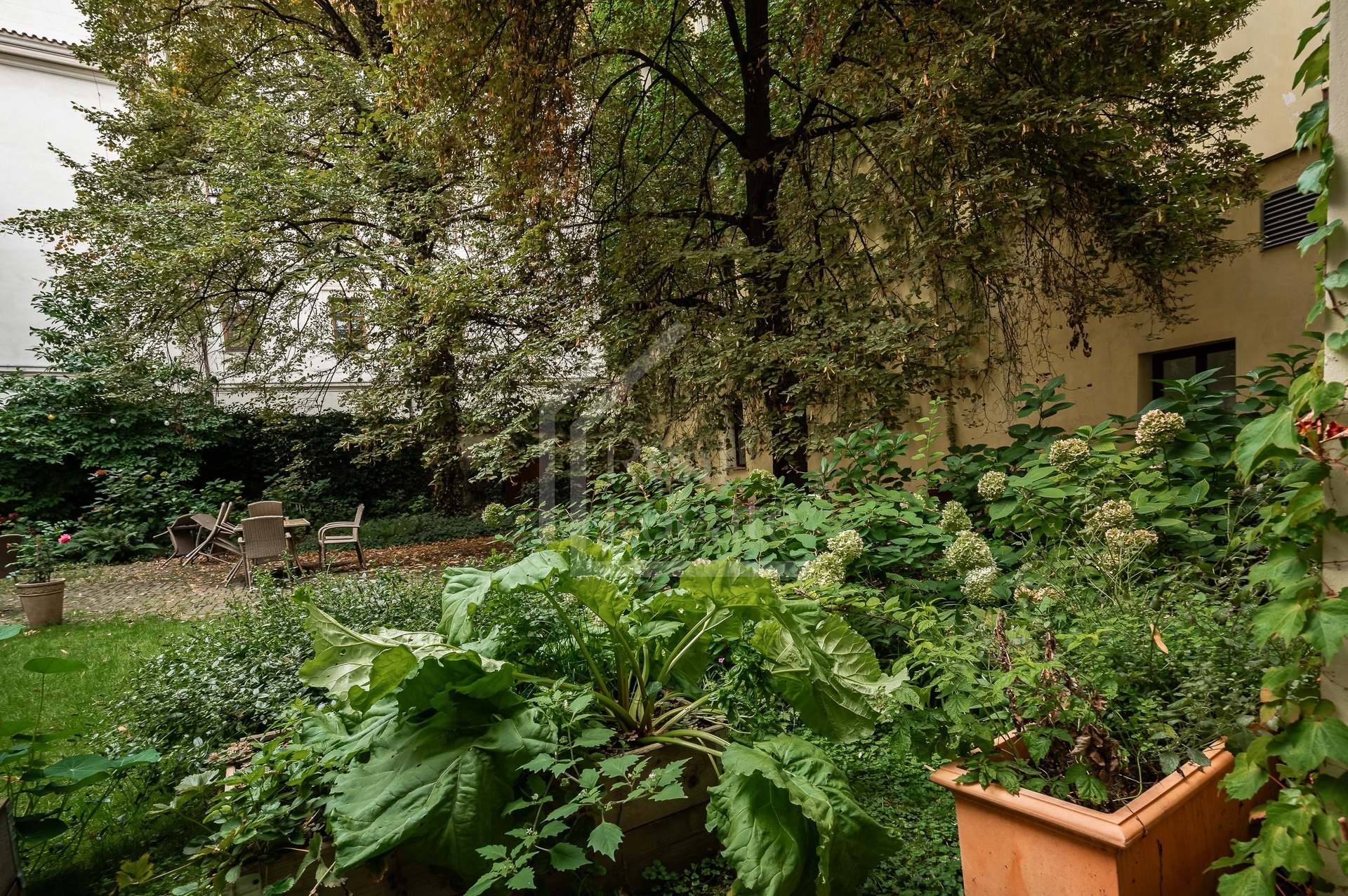 DMA_8126-HDR