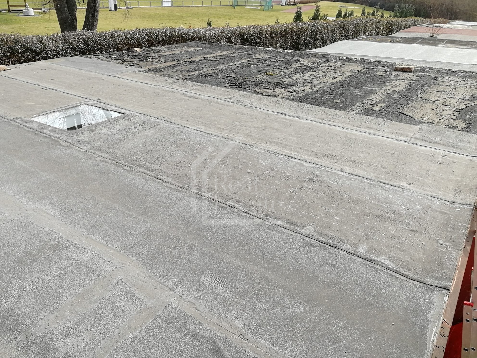 WhatsApp Image 2026-03-11 at 11.34.00