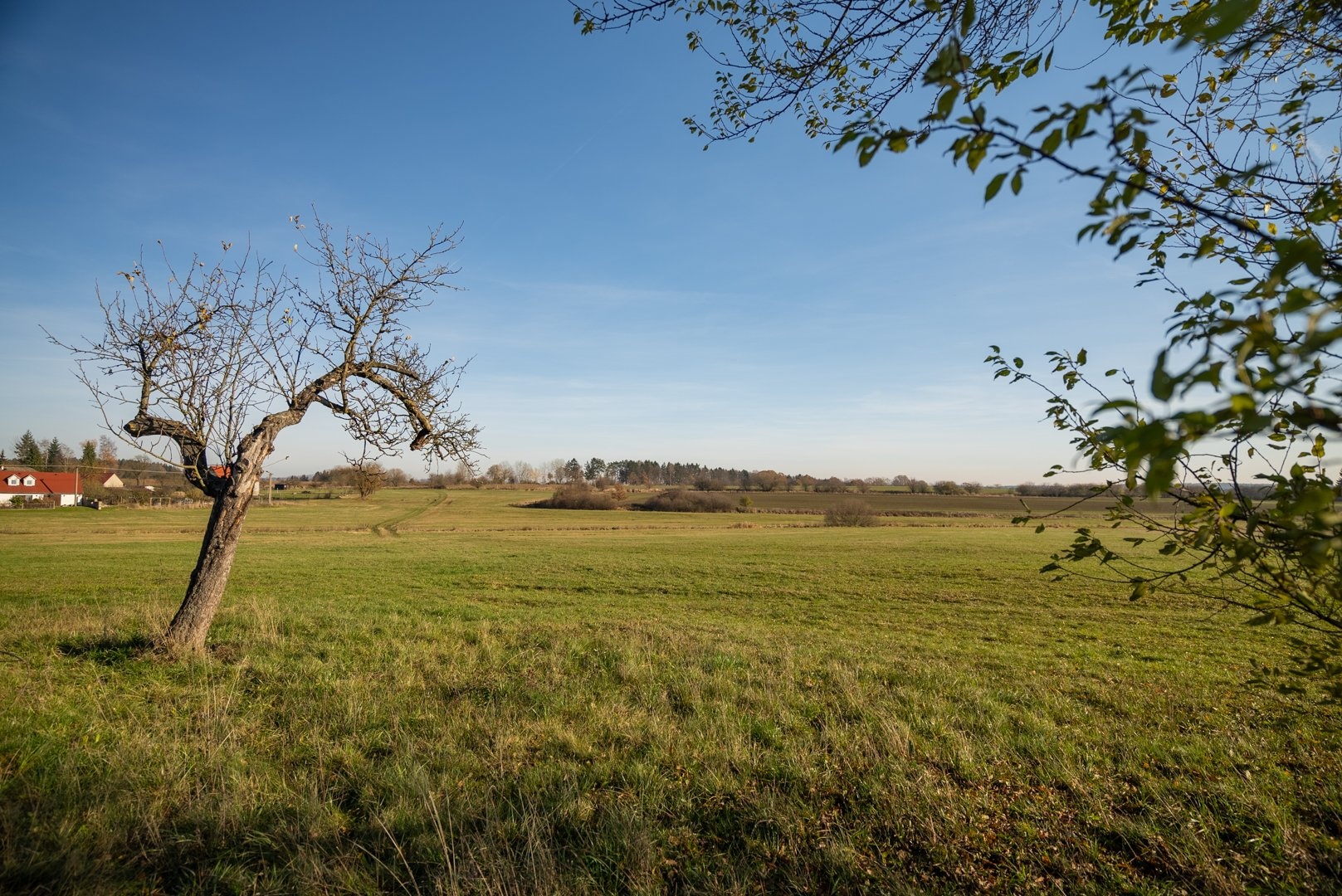 Výhled z pozemku na horizont