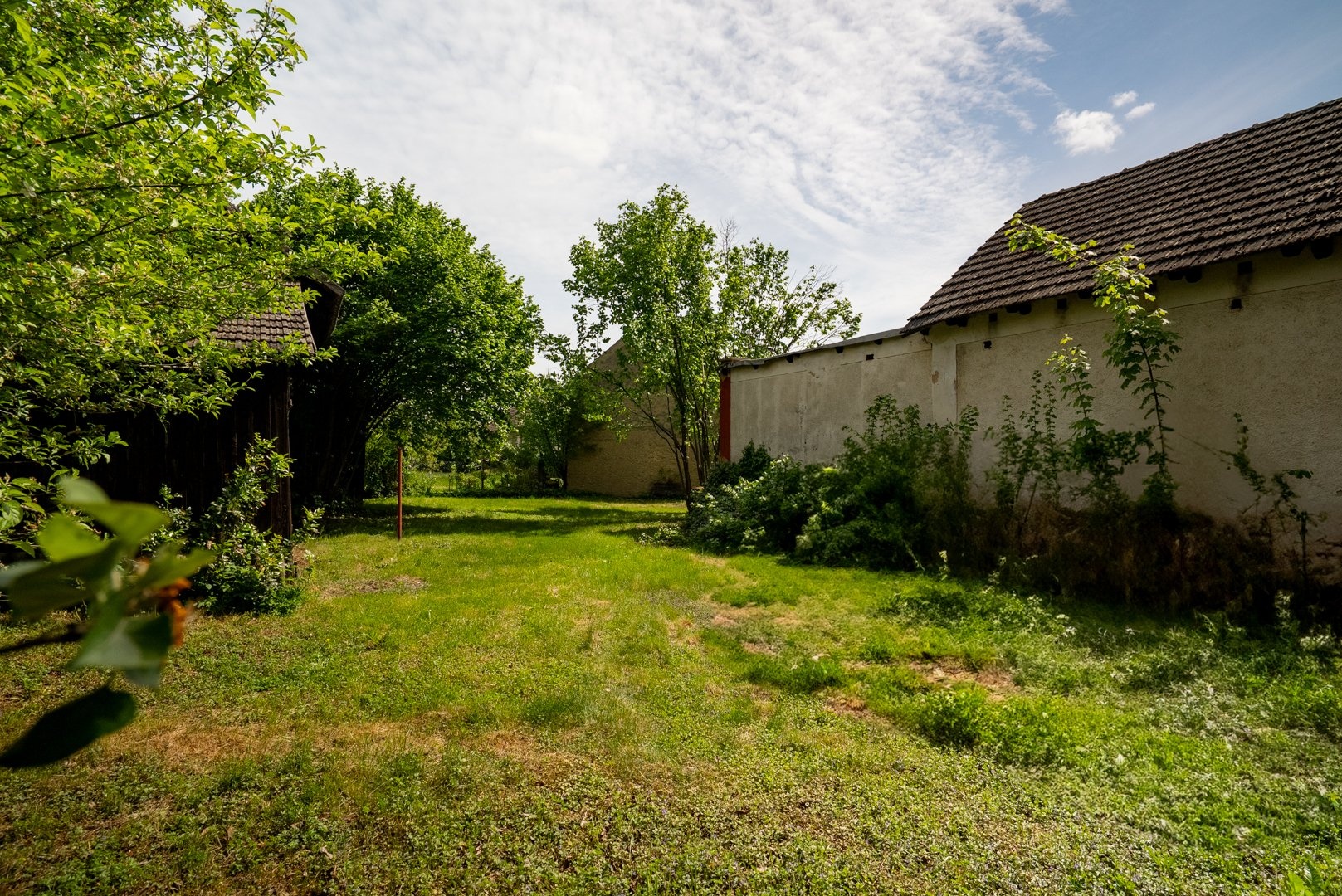 Pohled na pozemek od ulice U Koupaliště