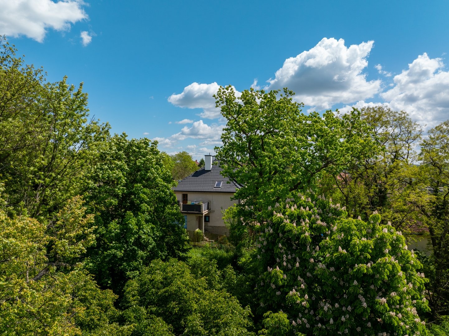 Pohled z výšky od parku za domem