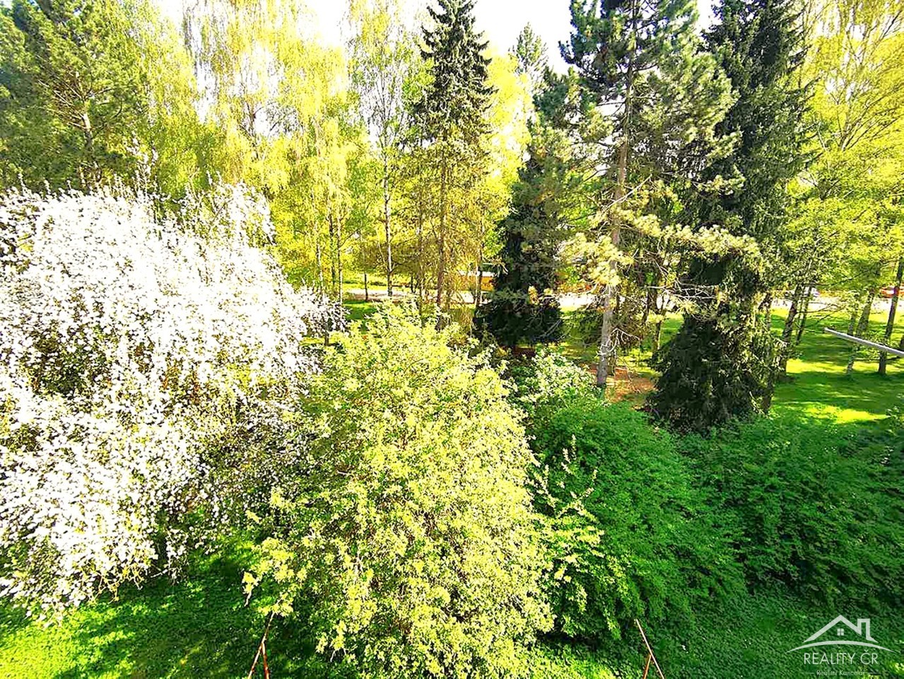 Fotka 9