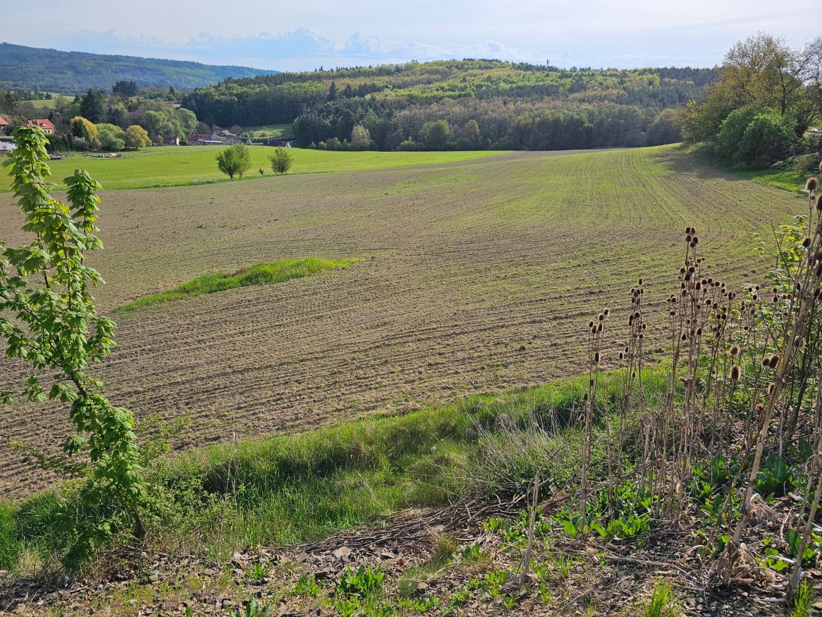 pozemky Lešany (3)
