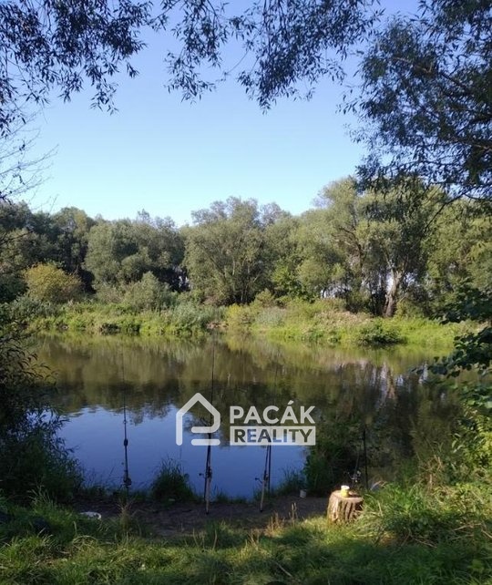 b186f02b-233f-48d2-9a70-24ae47350859 (1)