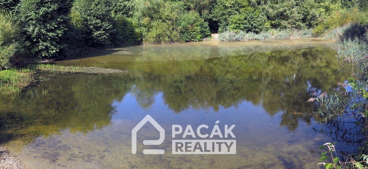 WhatsApp Image 2024-12-05 at 08.36.09