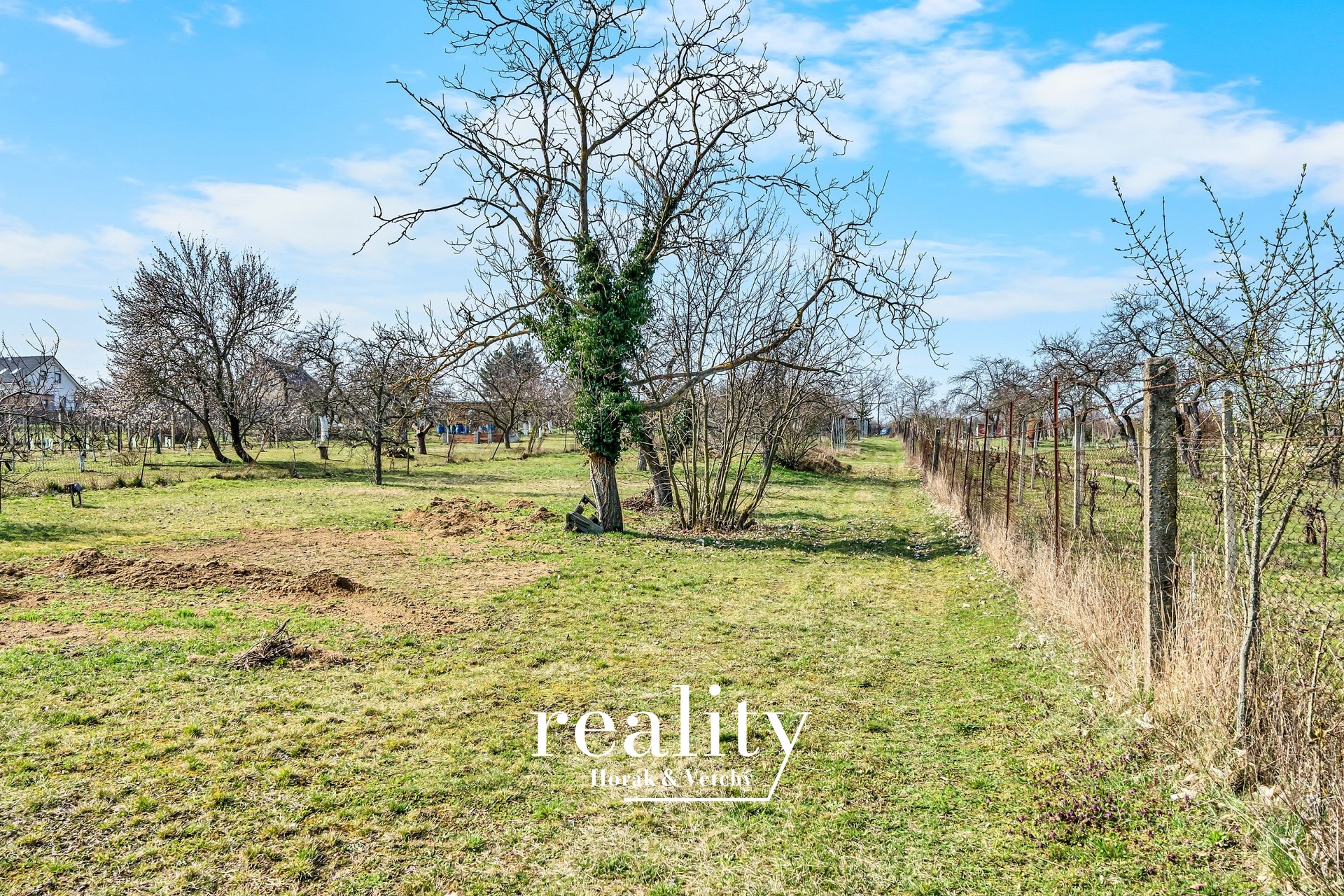 Pozemek_Kravi?_hora (12)