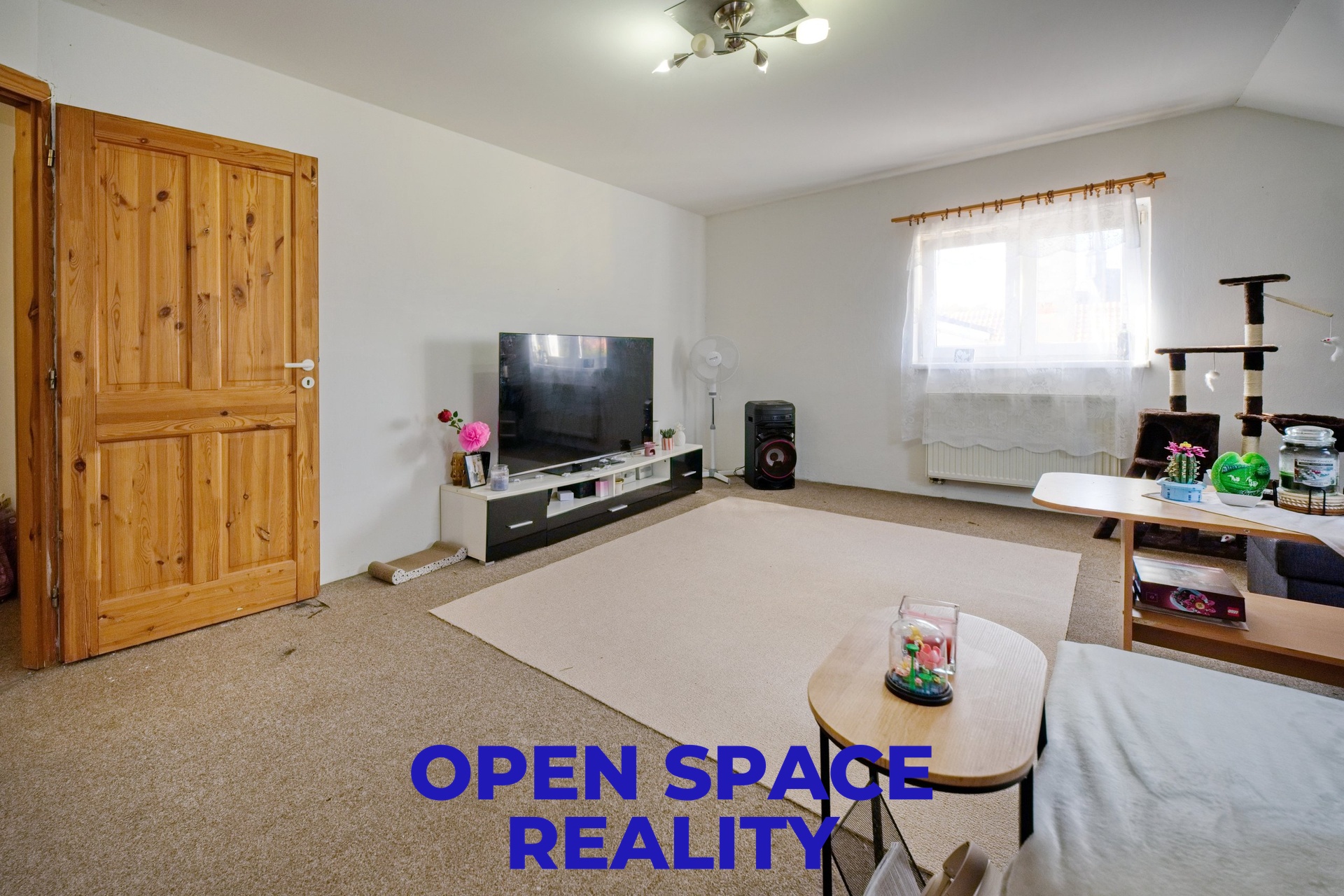 OPEN SPACE REALITY