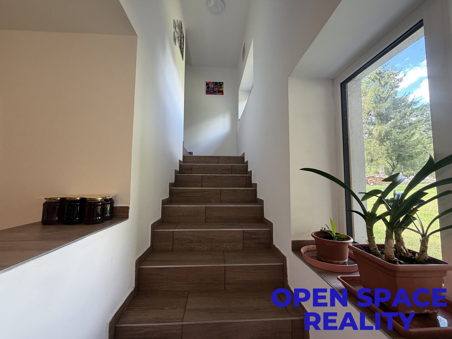 OPEN SPACE REALITY