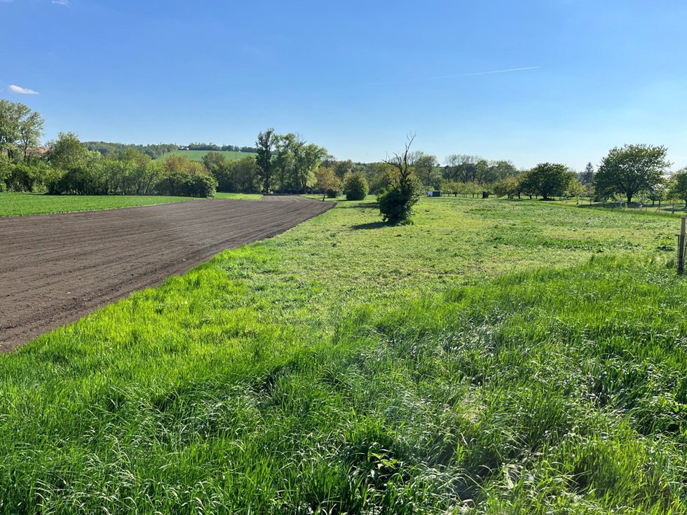 Prodej stavební parcely 2842 m², Prace