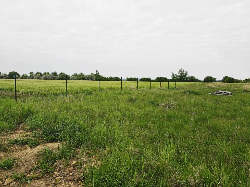 Prodej stavební parcely 1297 m², Mikulovice