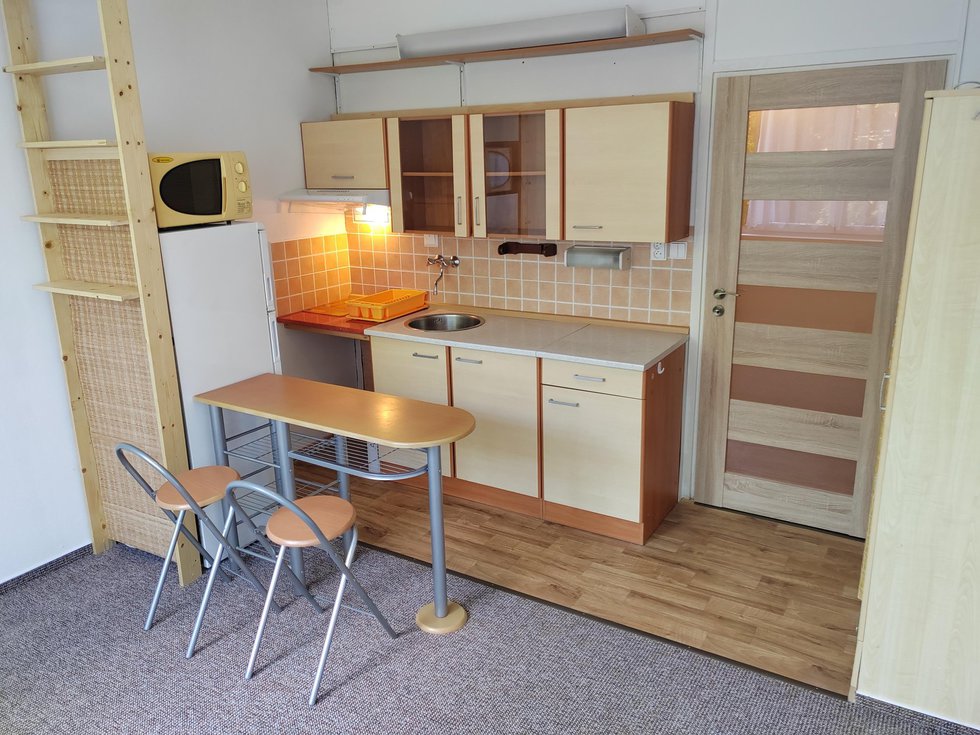 Pronájem bytu 1+kk, garsoniery 21 m², České Budějovice