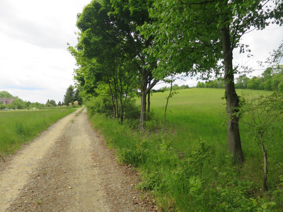 Prodej louky 3465 m², Jistebnice