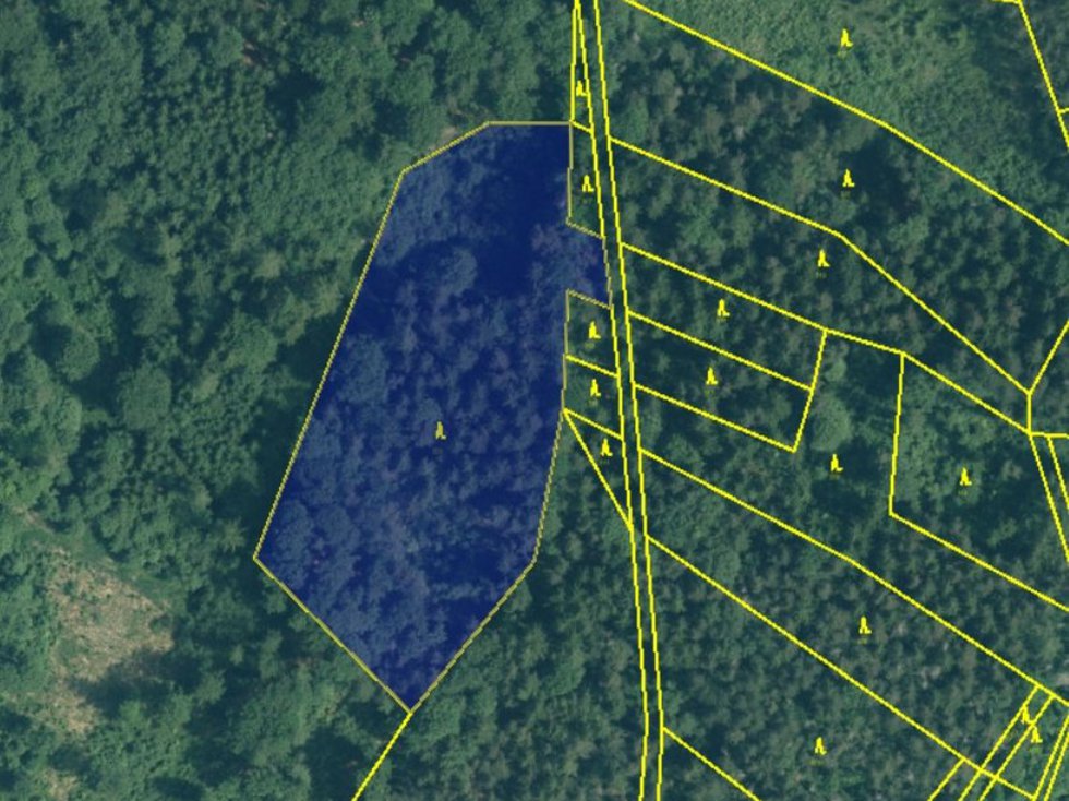Prodej lesa 10603 m², Rabí