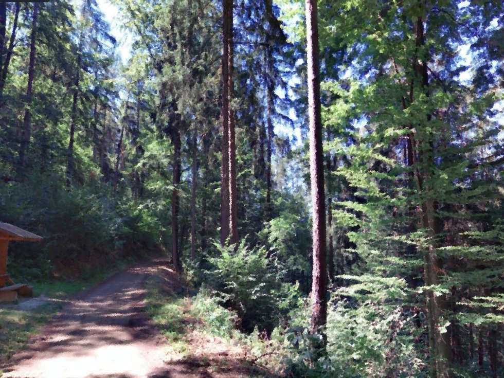 Prodej lesa 2485 m², Rabí