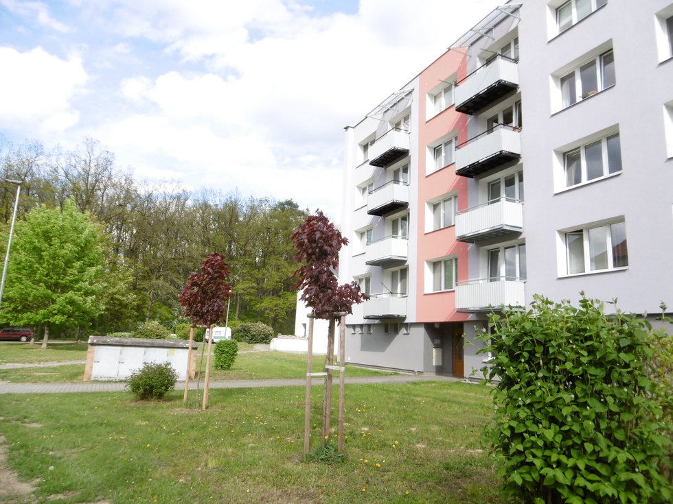Pronájem bytu 1+1 45 m², Zliv
