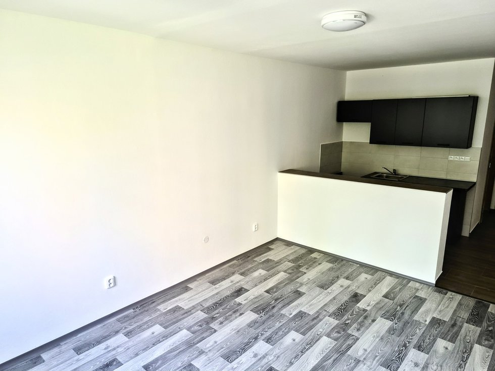 Prodej bytu 1+kk, garsoniery 30 m², Strakonice