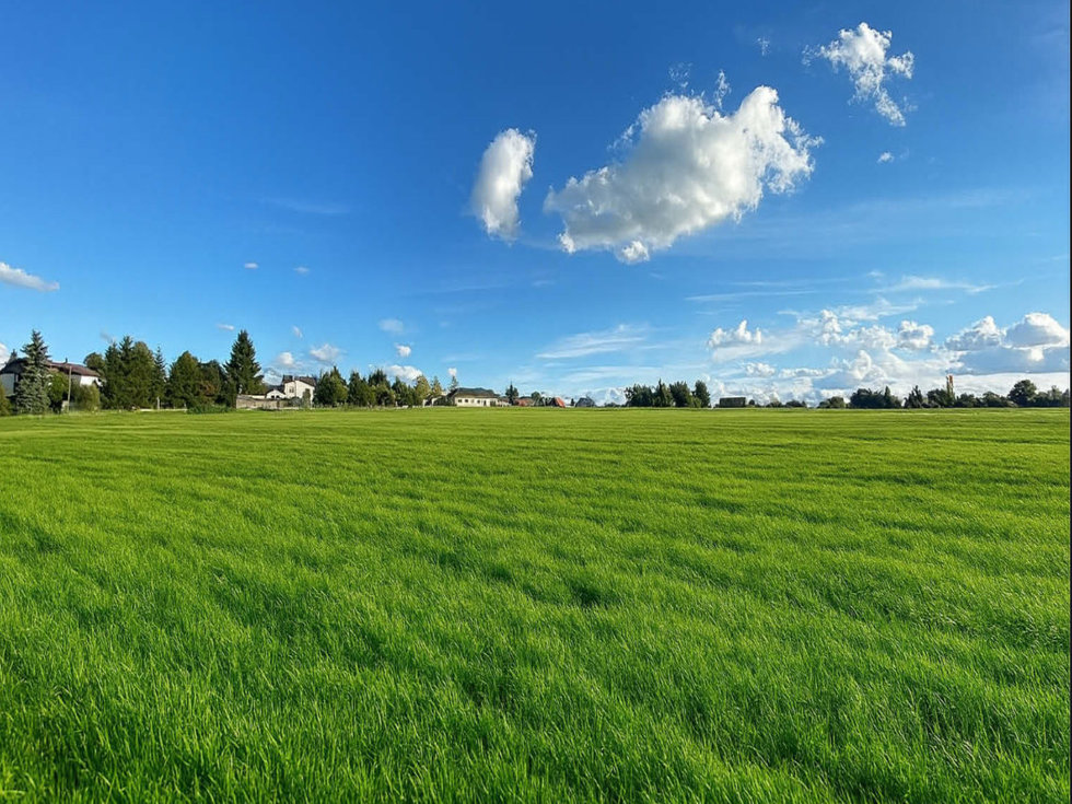 Prodej stavební parcely 866 m², Bukovina u Přelouče