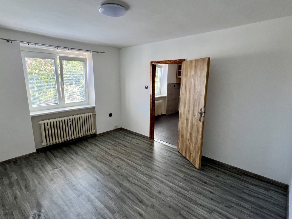 Pronájem bytu 1+1 29 m², Plzeň