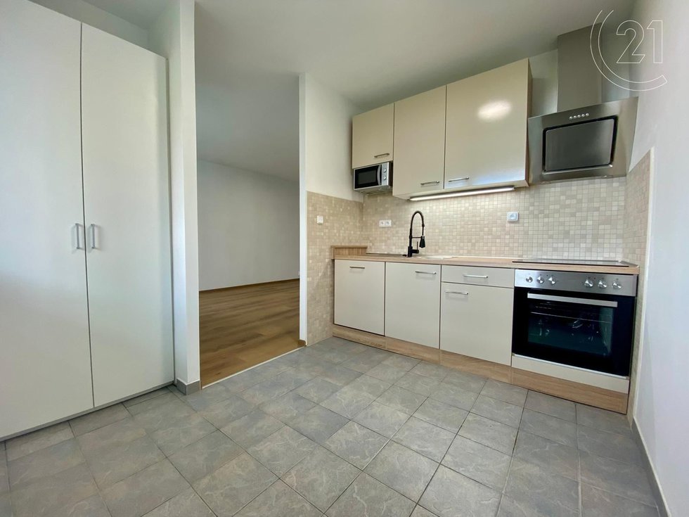 Pronájem bytu 1+1 37 m², Praha