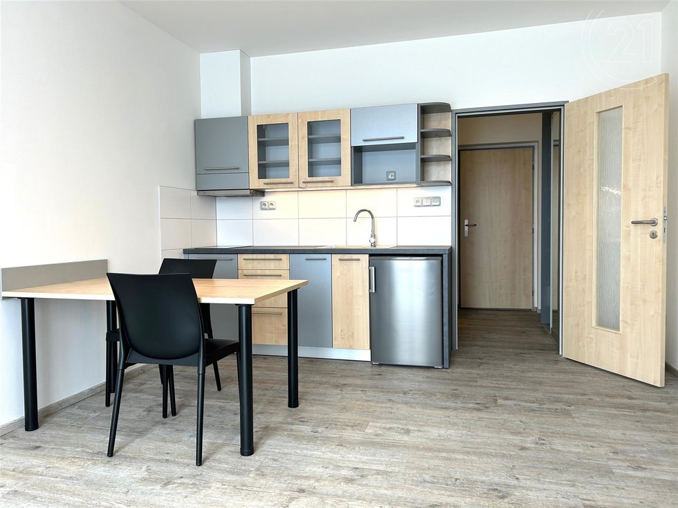 Pronájem bytu 1+kk, garsoniery 28 m², Tachlovice
