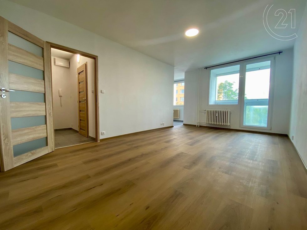 Pronájem bytu 1+1 37 m², Praha