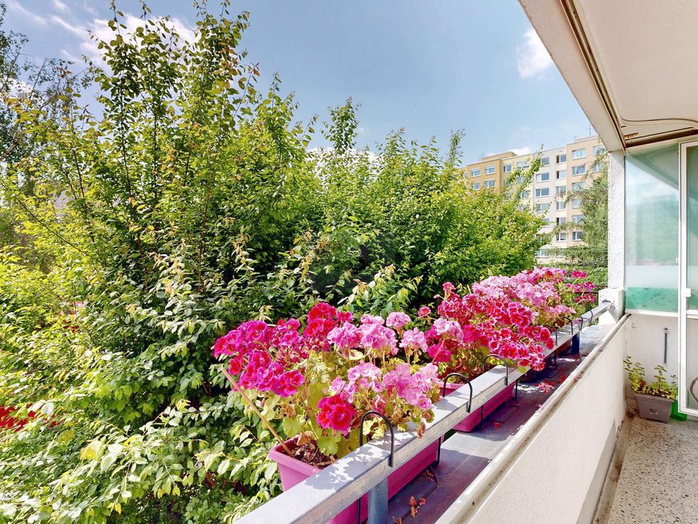 Prodej bytu 3+1 77 m², Praha