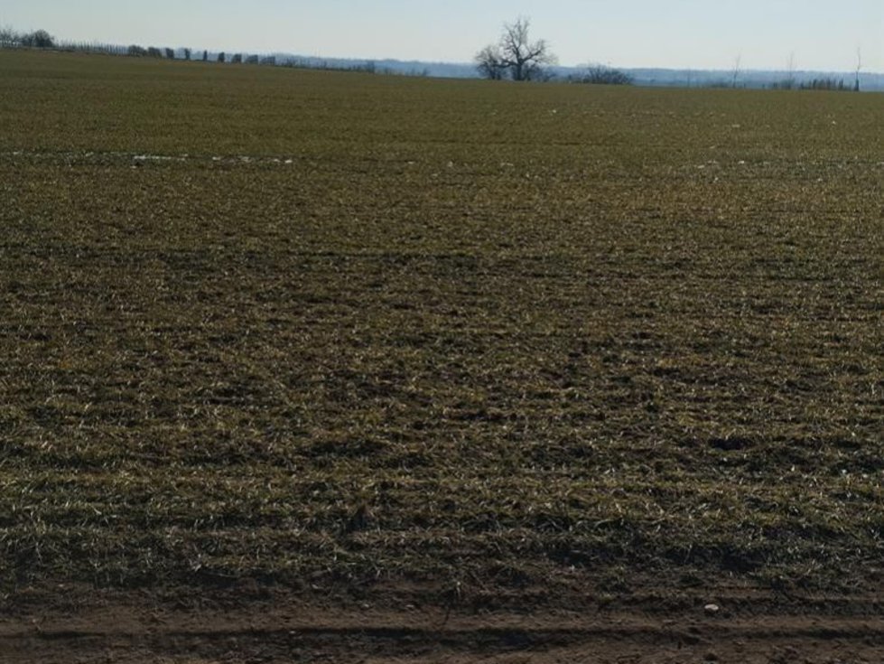 Prodej stavební parcely 4538 m², Hrušovany nad Jevišovkou