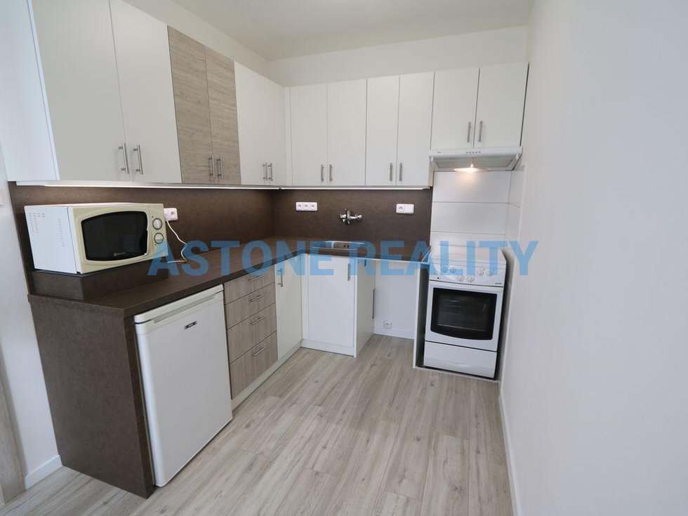Pronájem bytu 1+1 42 m², Praha