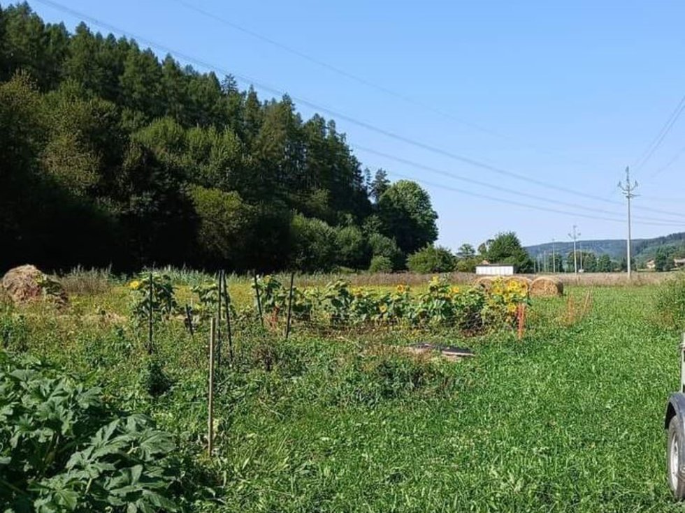 Prodej zahrady 500 m², Městečko Trnávka