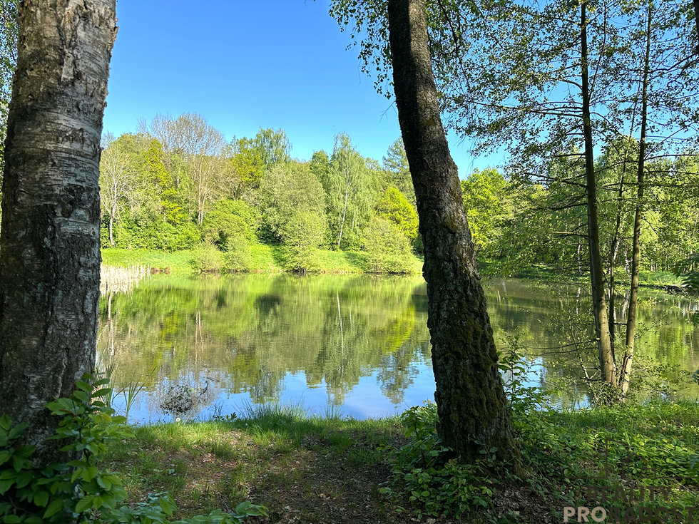 Prodej chaty 74 m², Libina