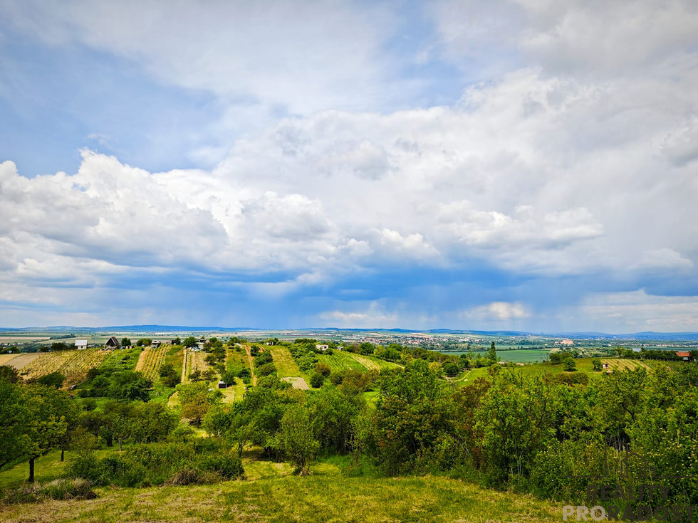 Prodej zahrady 7961 m², Blučina