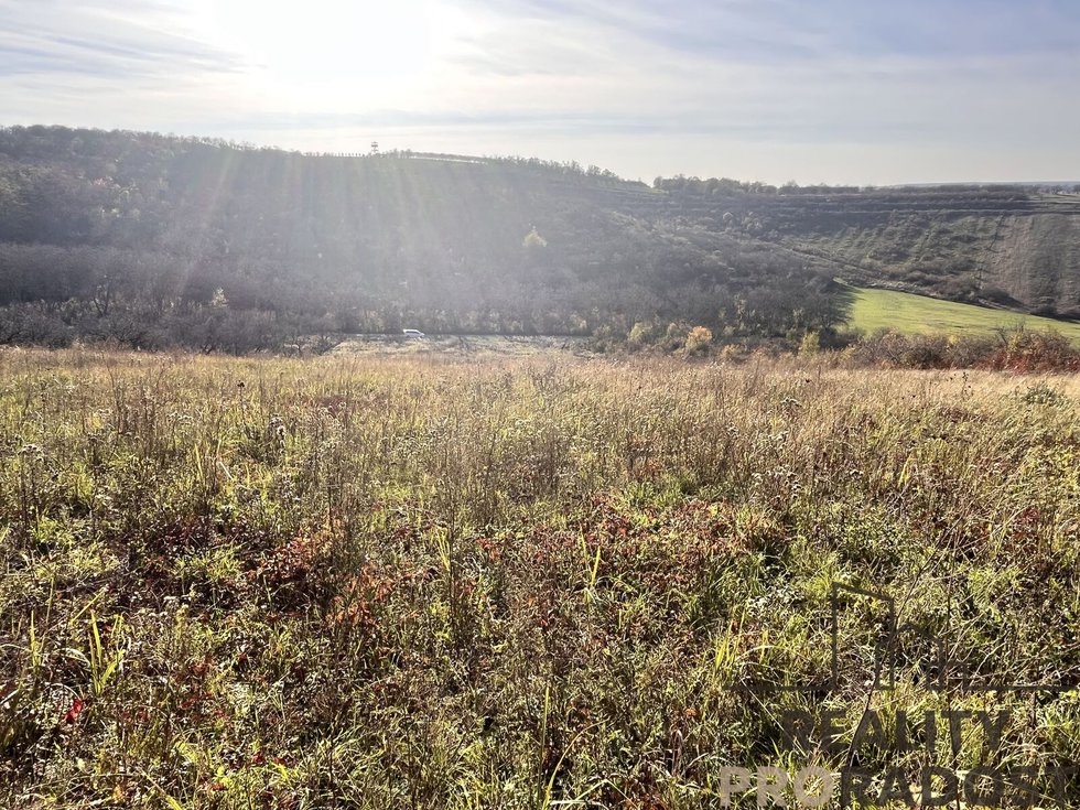 Prodej ostatních pozemků 20069 m², Hustopeče