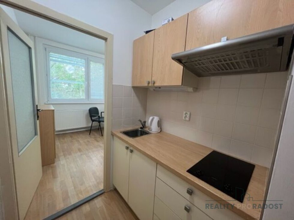 Pronájem bytu 1+1 14 m², Hodonín