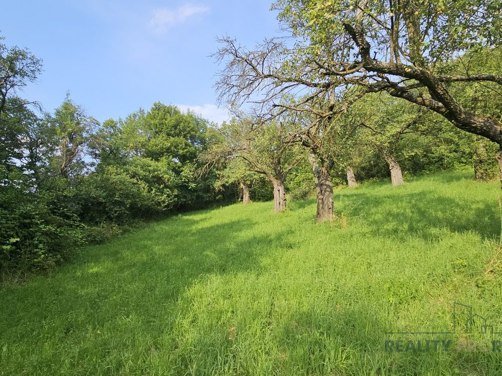 Prodej ostatních pozemků 4253 m², Koryčany