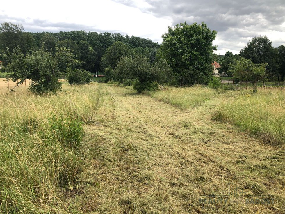 Prodej zemědělské usedlosti 150 m², Kleneč