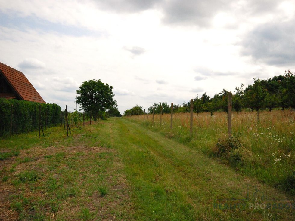 Prodej stavební parcely 1960 m², Břeclav