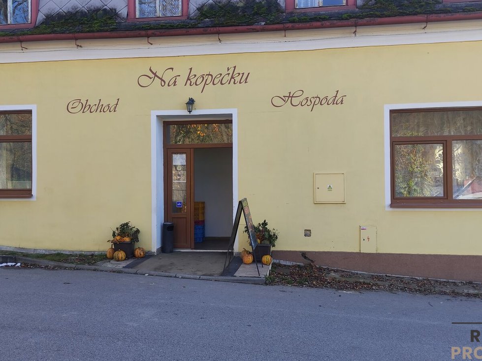Prodej restaurace 500 m², Podhradí nad Dyjí