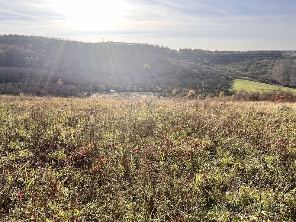 Prodej ostatních pozemků 20069 m², Hustopeče