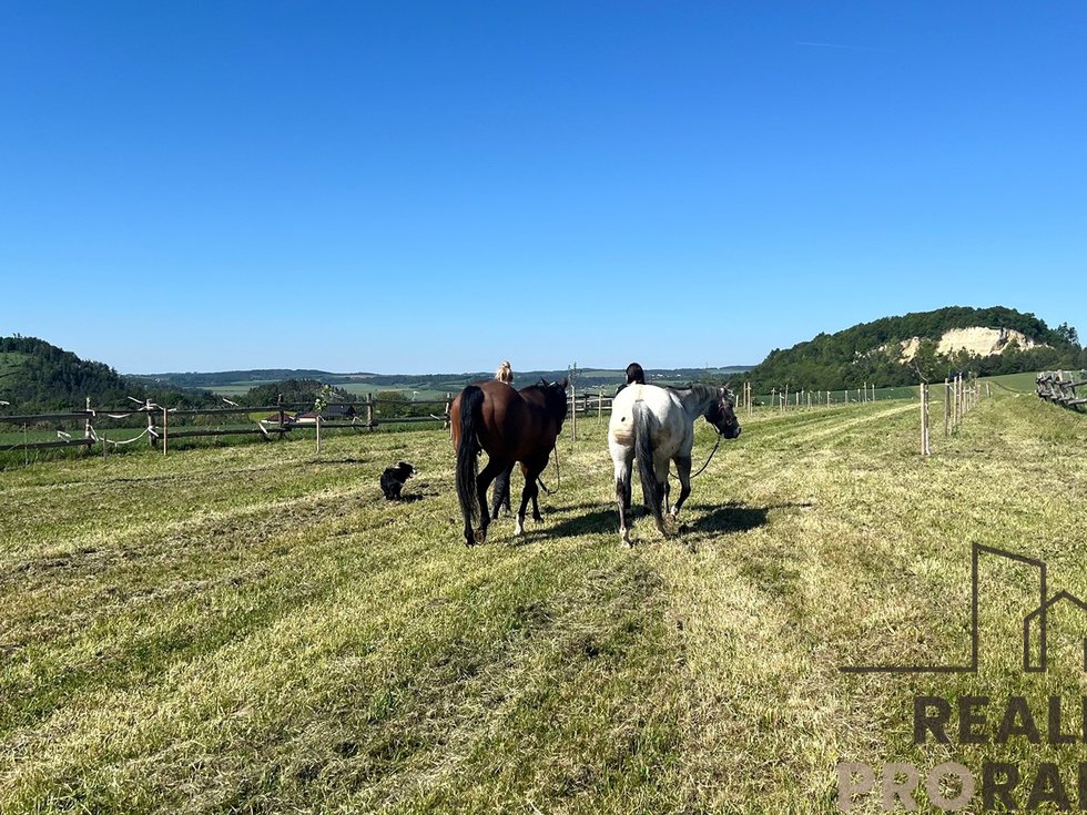 Prodej stavební parcely 29098 m², Obora