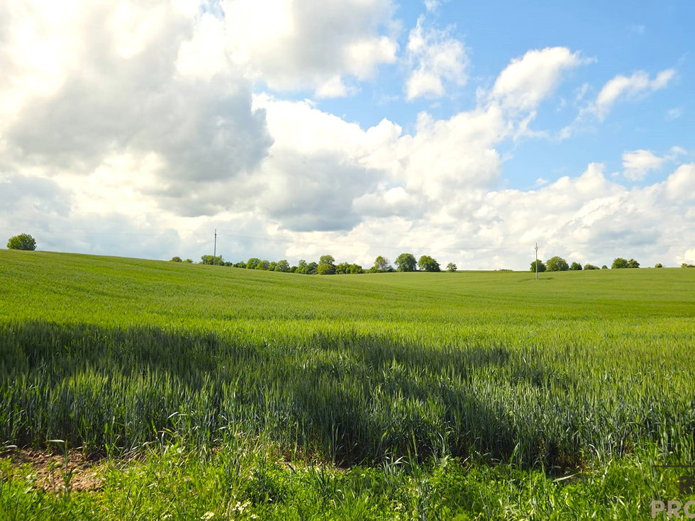 Prodej zemědělské půdy 2649 m², Kyjov