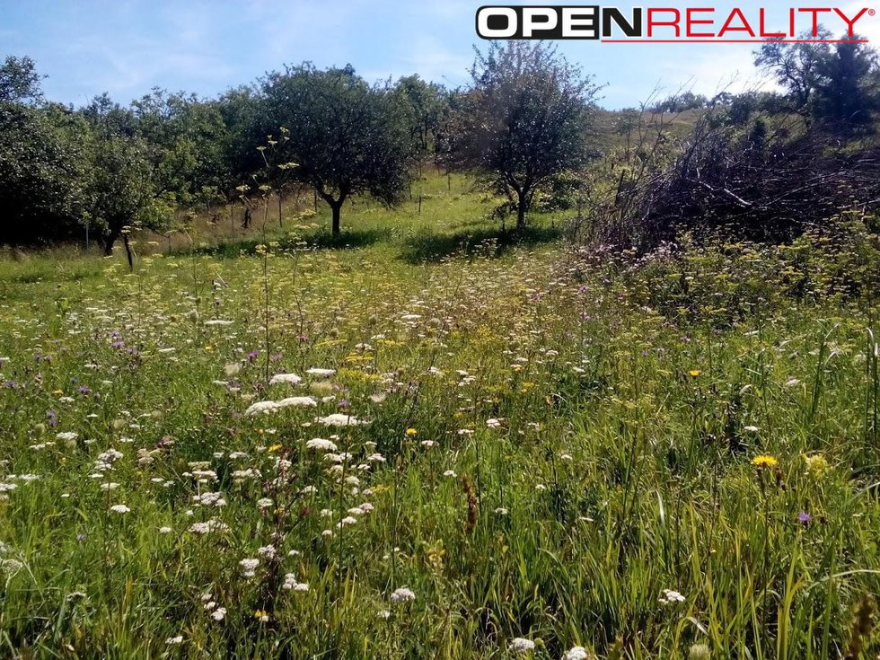 Prodej zahrady 3563 m², Židlochovice