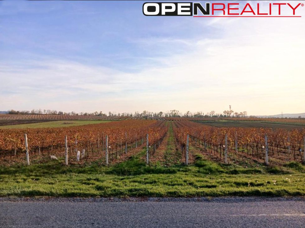 Prodej ostatních pozemků 10519 m², Perná