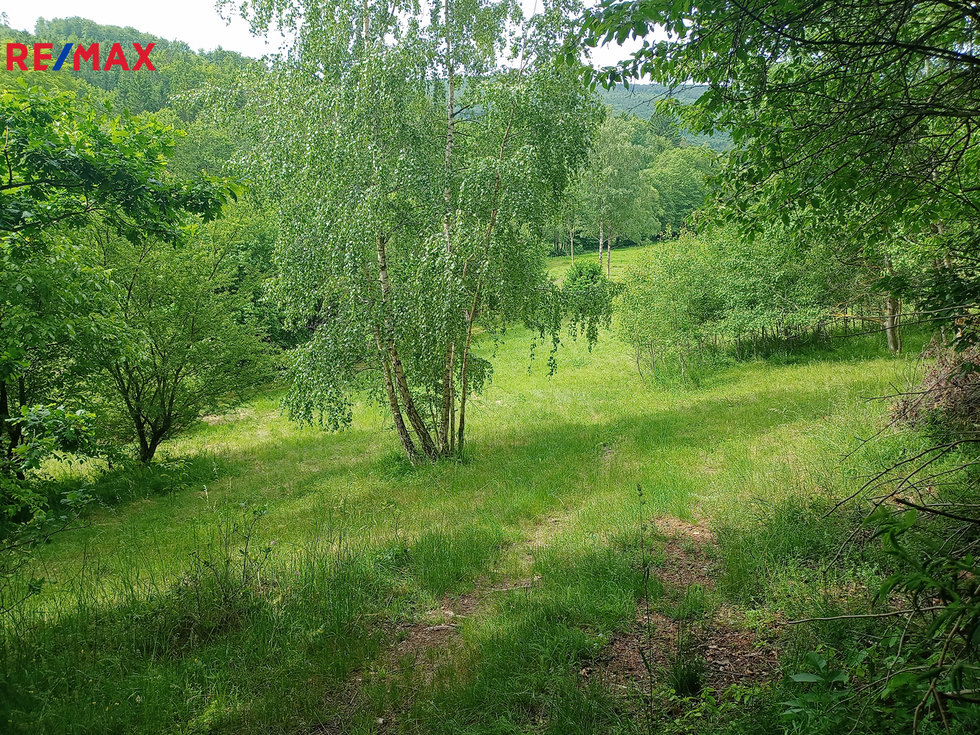 Prodej louky 7666 m², Křemže
