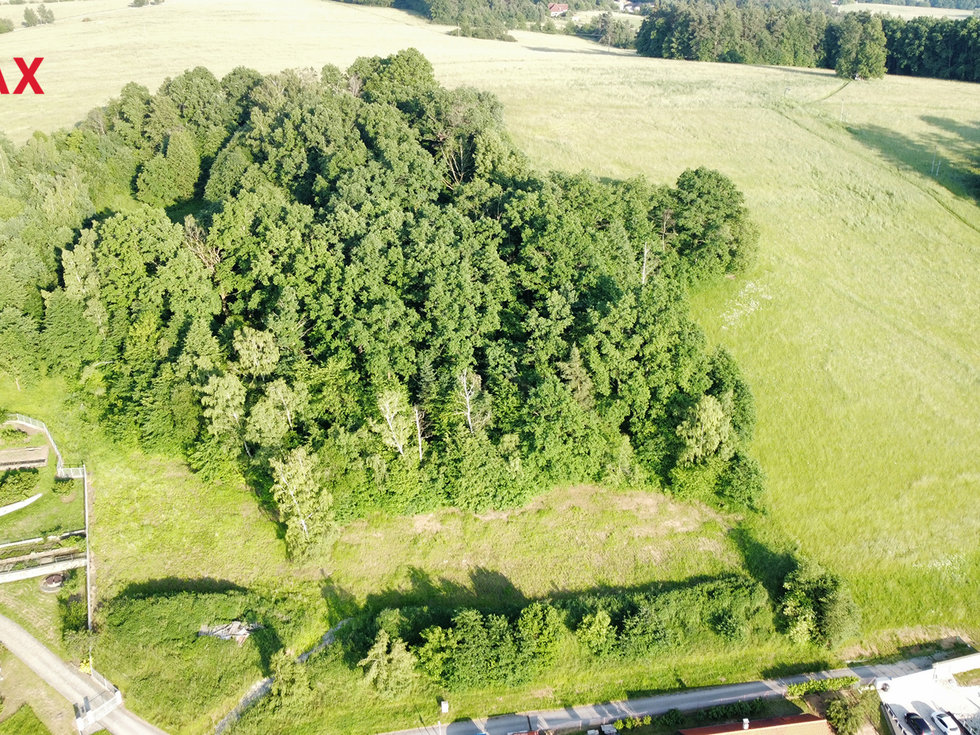 Prodej stavební parcely 7006 m², Dubičné