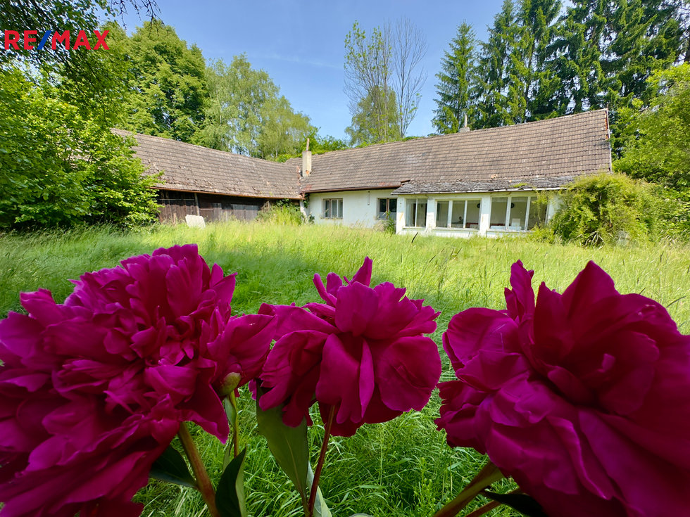 Prodej rodinného domu 100 m², Nová Ves nad Lužnicí
