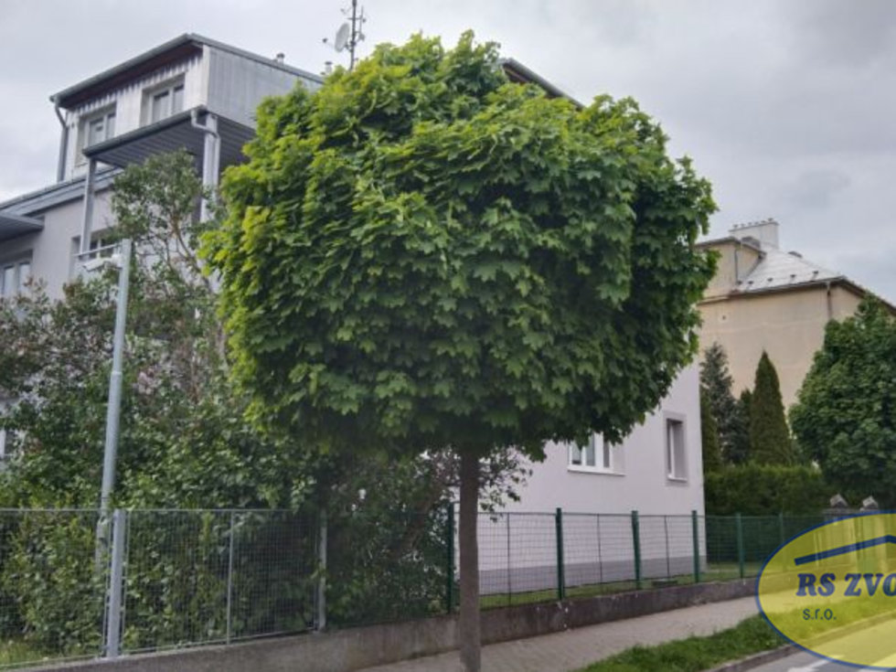 Prodej bytu 3+kk, Holešov