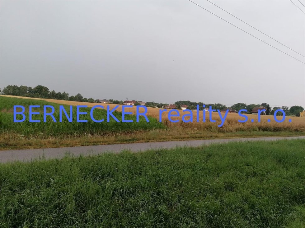 Prodej zemědělské půdy 5423 m², Kunčice