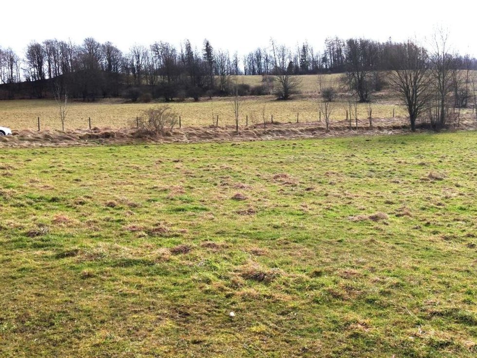 Prodej stavební parcely 3103 m², Zlaté Hory